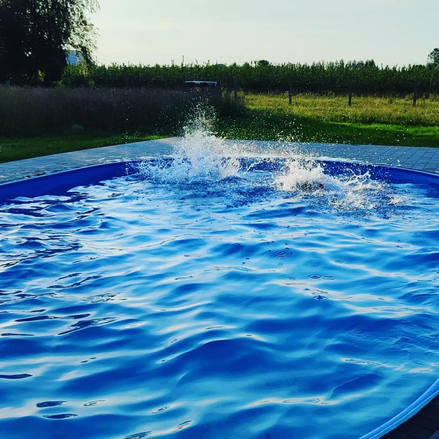 Apartamenty Wilga Z Calorocznym Jacuzzi I Letnim Basenem Eksteriør billede